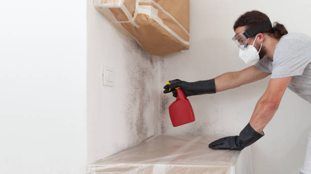 Professional Crawl Space Mold Remediation technician working in Reading, MI