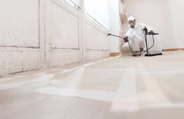 24/7 Emergency Crawl Space Mold Remediation experts in Reading, MI