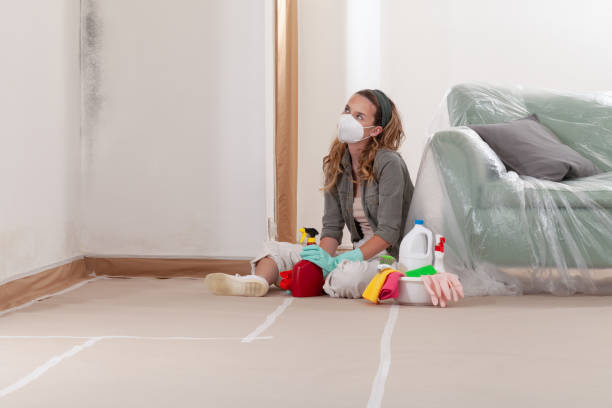 Reliable Crawl Space Mold Remediation contractor in Reading, MI by Mold Remediation HQ