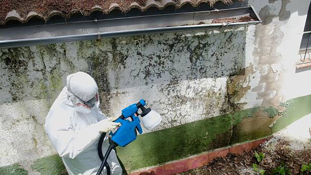 Top rated local Crawl Space Mold Remediation specialists in Reading, MI